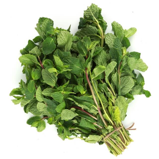 Mint - نعنع