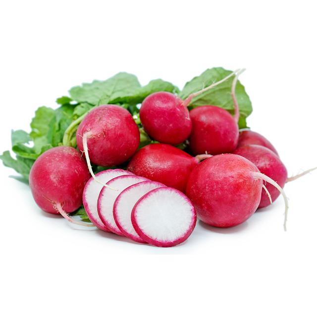 Red Radish