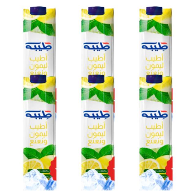Teeba Tasty Lemon 250ml x 6