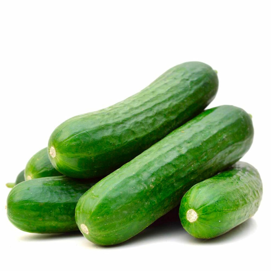 Cucumber 500-600g Approx