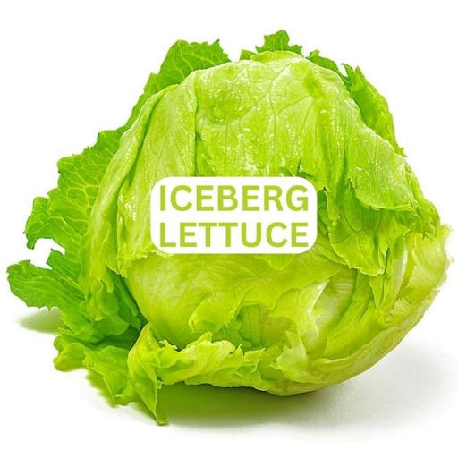 [1212017] Lettuce Iceberg 1pcs
