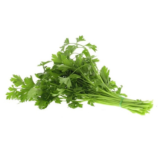 [1212021] Parsley Leaves بقدونس