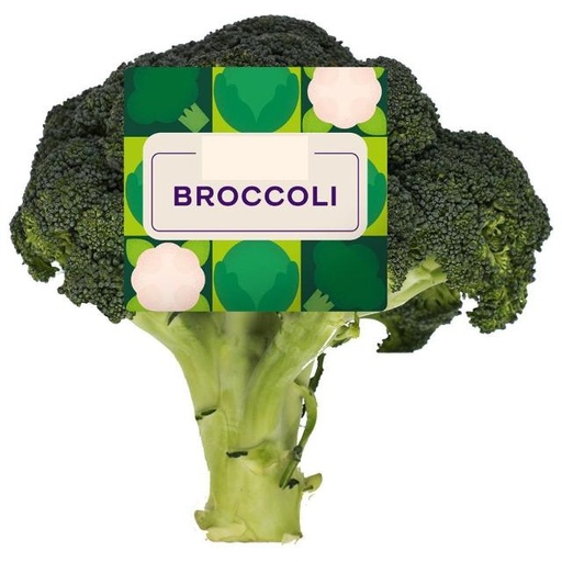 [1212006] Broccoli