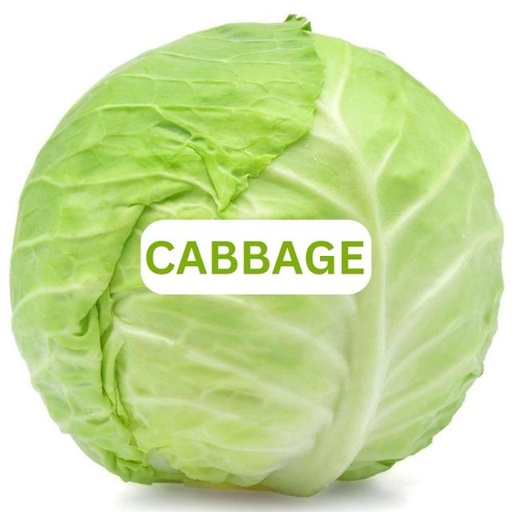 [1111878] Cabbage White 3000-3200g