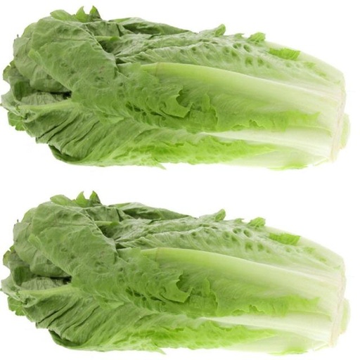 [121266765] Lettuce Local 2pcs