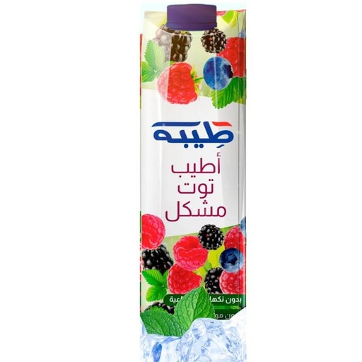 [6253342504628] Teeba Tasty Mixed Berries 1L