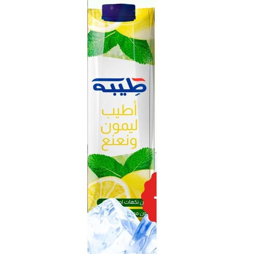 [6253342504635] Teeba Tasty Lemon 1L