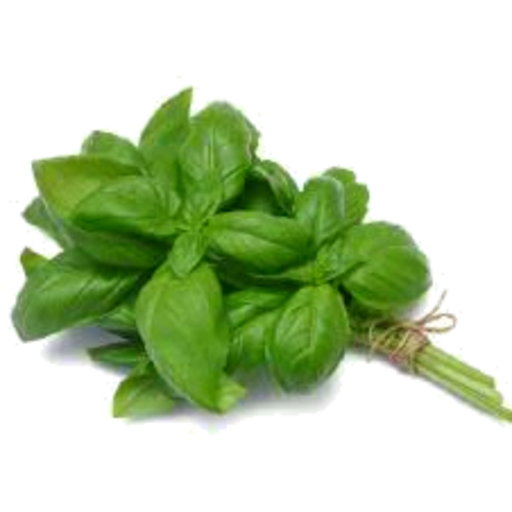 [6253502720356] Basil - Italian Basil 100g
