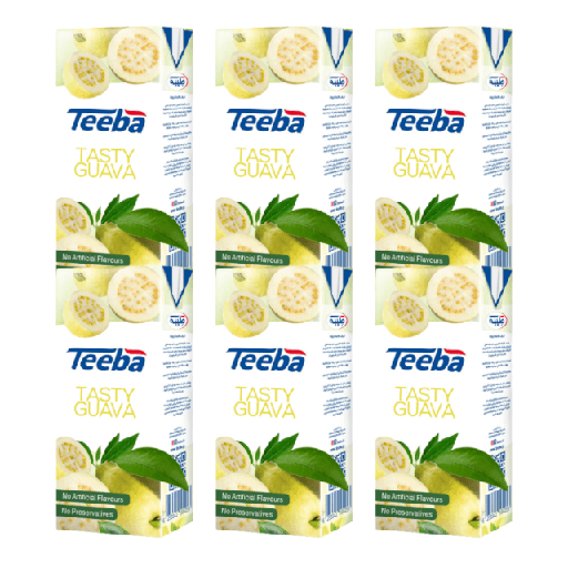 [6253342504369] Teeba Tasty Guava 250ml x 6